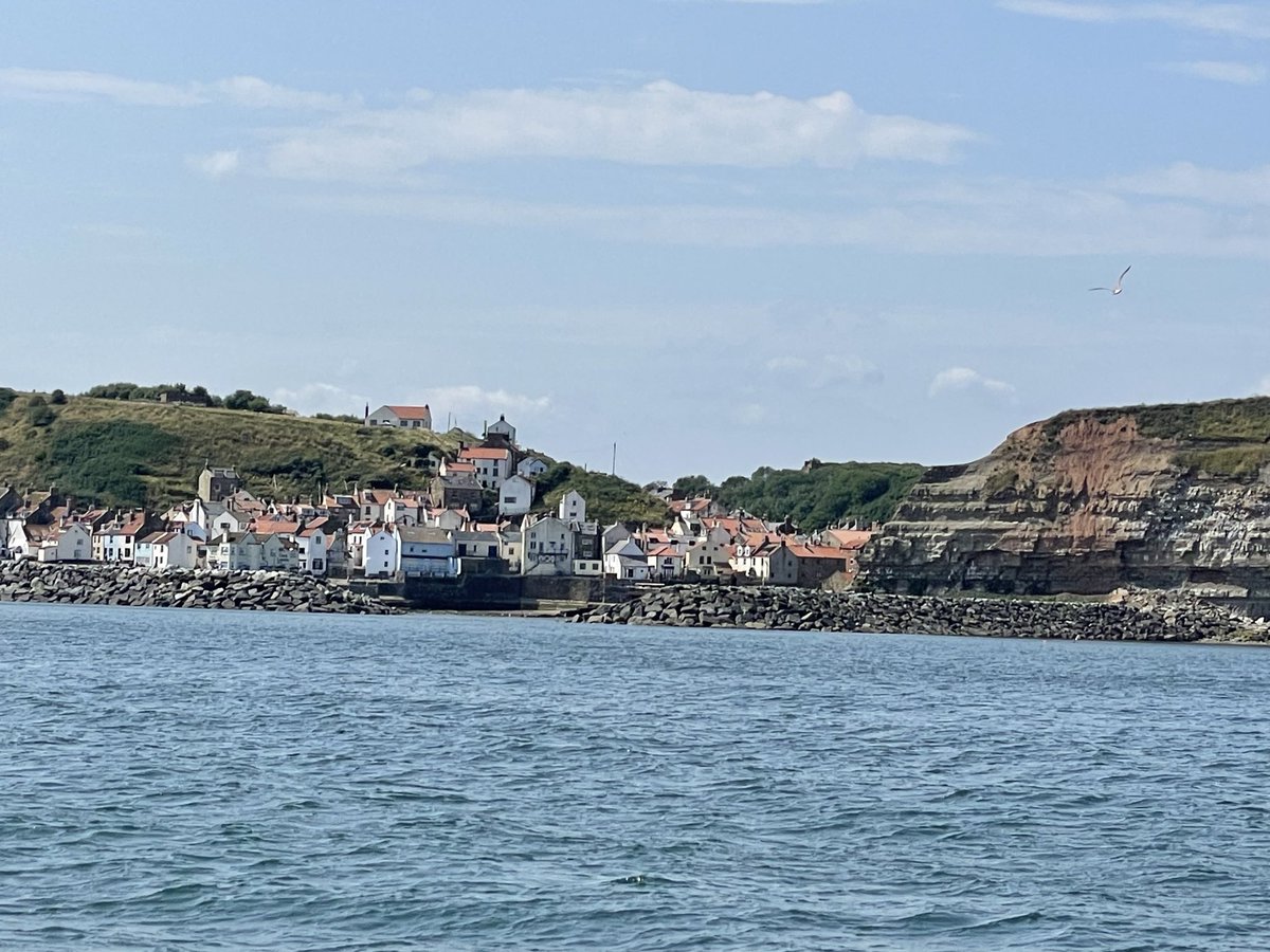 ⁦<a href="/YCNature/">YorkshireCoastNature</a>⁩ ⁦<a href="/YWTLivingSeas/">Yorkshire Wildlife Trust - Marine - Living Seas</a>⁩ Great trip out of Staithes this morning recording cetaceans with multiple views of at least 3 Minke Whales. Also some nice seabirds, Sooty And Manx Shears, Arctic Skua, Fulmars etc.