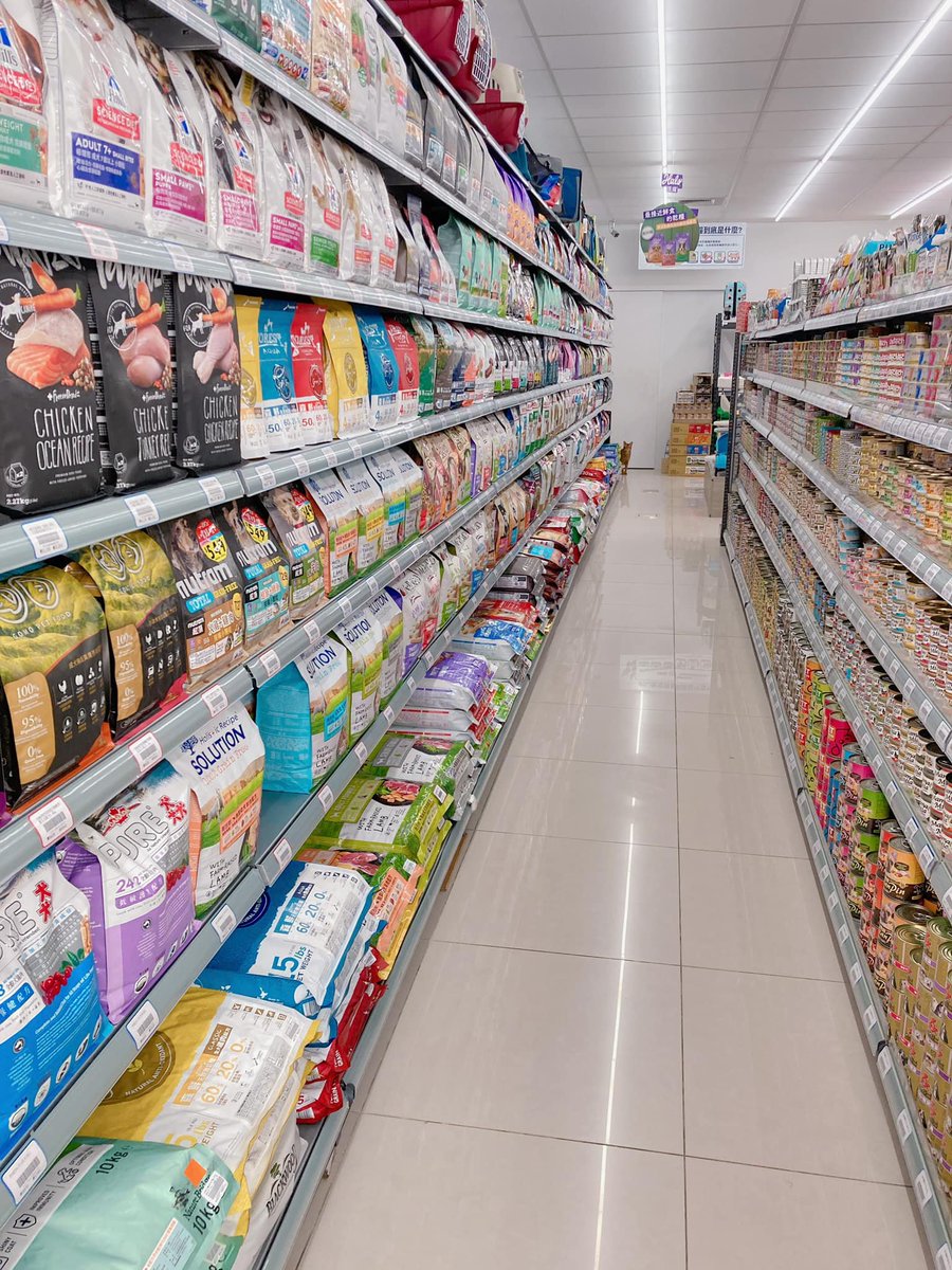 cats with jobs 🛠 (@catworkers) on Twitter photo 