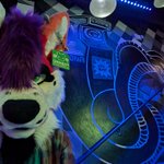 Photo by SteelHound (@HoundSteel)