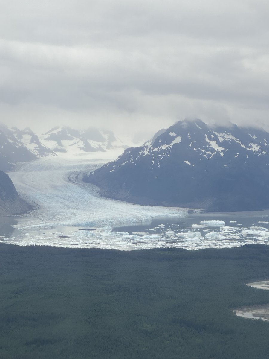 Debra Lekanoff tweet media