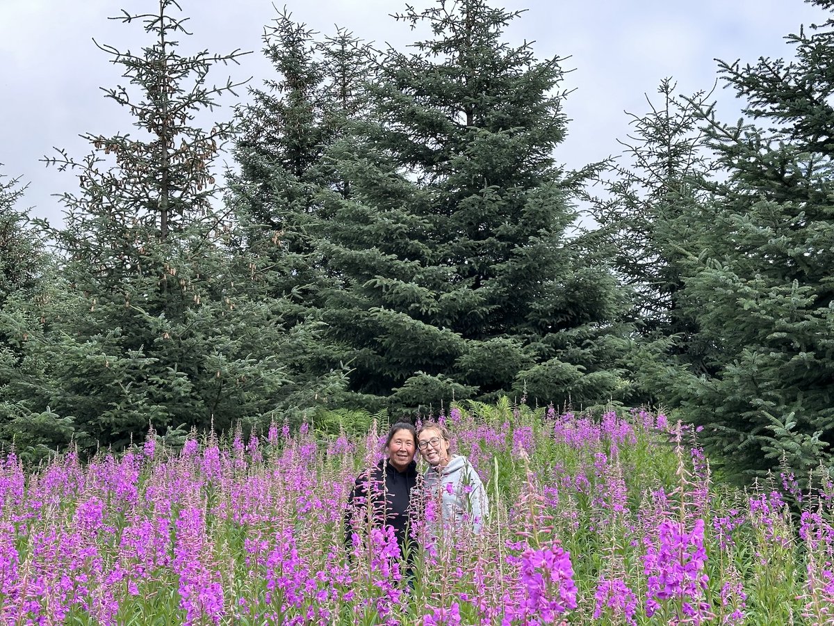 Debra Lekanoff tweet media