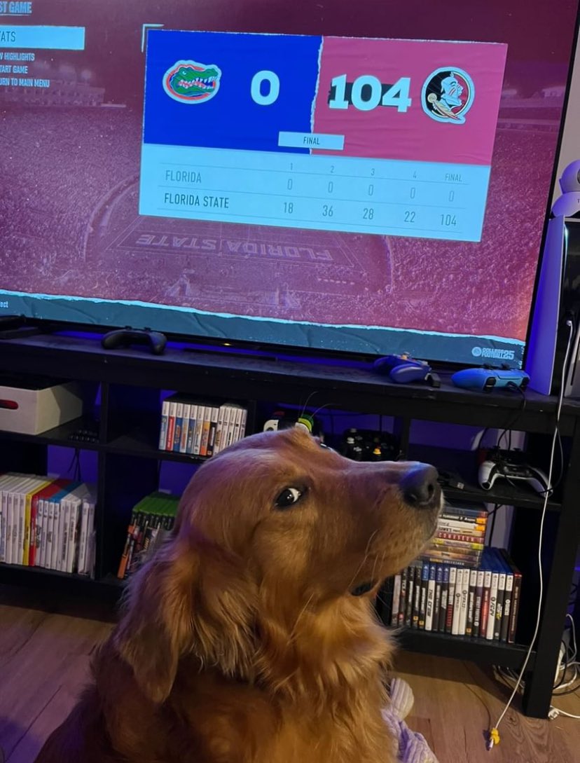 FSU_Barstool's tweet image. Happy #GoodBoyFriday