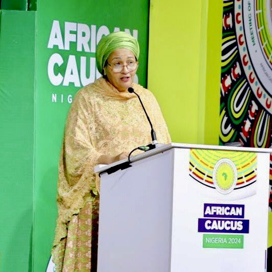 AminaJMohammed's tweet photo. As Africa reels from conflicts, debt, climate change and inequalities, the world must heed the call for a just international financial system that includes Africa. https://t.co/B8htjVfWPX