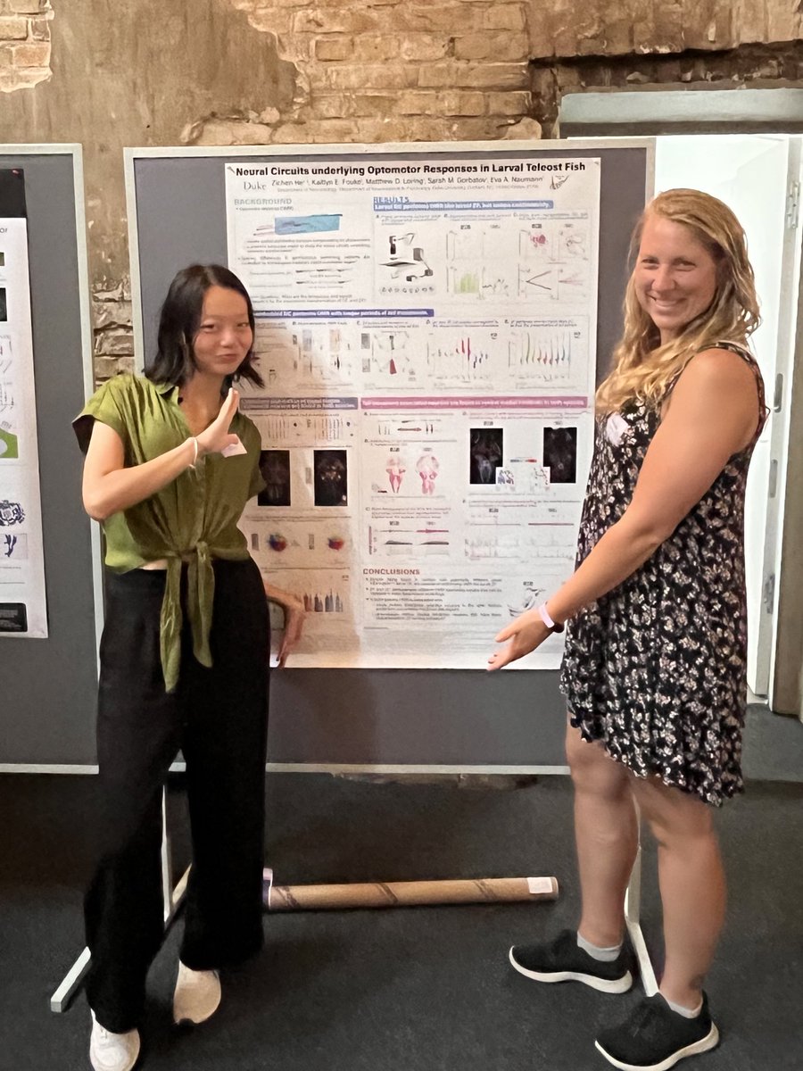 Zichen Cleo He 贺紫宸 (@zichencleohe) on Twitter photo So glad that my first ever conference is #icn2024berlin, and so honored to present our project with <a href="/kfouke2/">Kaitlyn Fouke</a> ! Absolutely mind-blowing science and people, attempting to explain behaviors is so cool. So glad that my first ever conference is #icn2024berlin, and so honored to present our project with <a href="/kfouke2/">Kaitlyn Fouke</a> ! Absolutely mind-blowing science and people, attempting to explain behaviors is so cool.