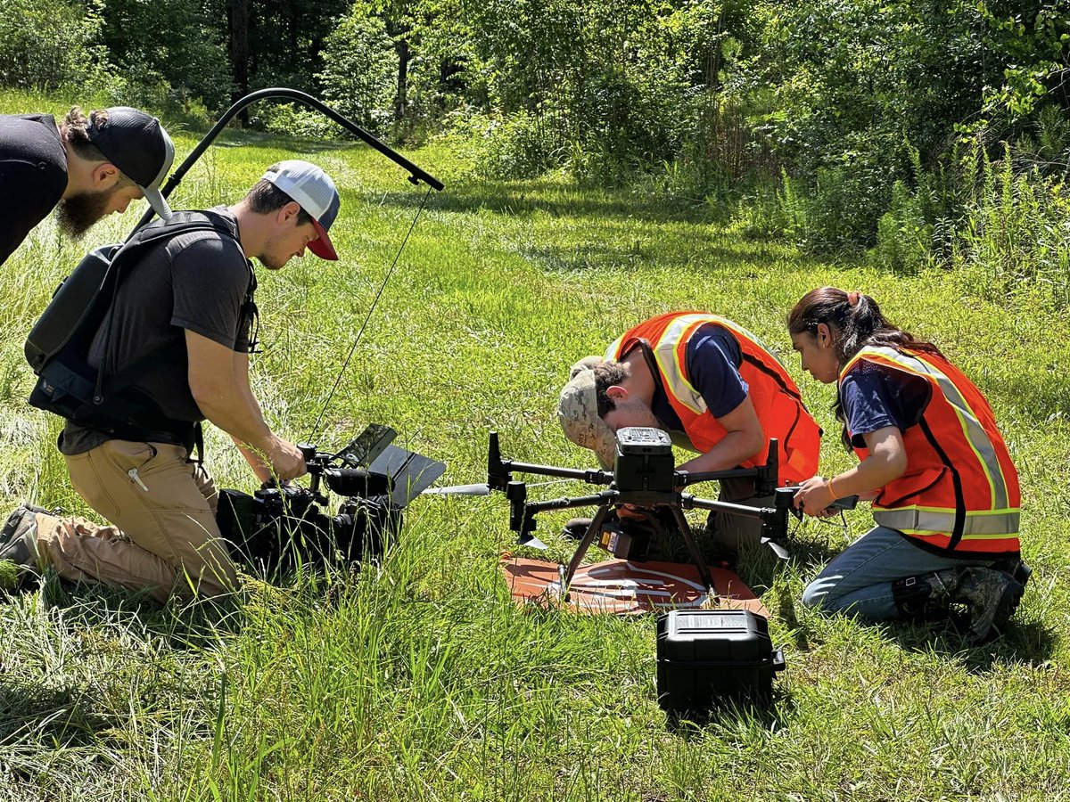 Auburn researchers confronting brown spot needle blight, a disease impacting southern pines in the U.S., was showcased in a video docuseries during the International Union of Forest Research Organizations (IUFRO) World Congress in Sweden. Learn more at bit.ly/3y1D0Lh