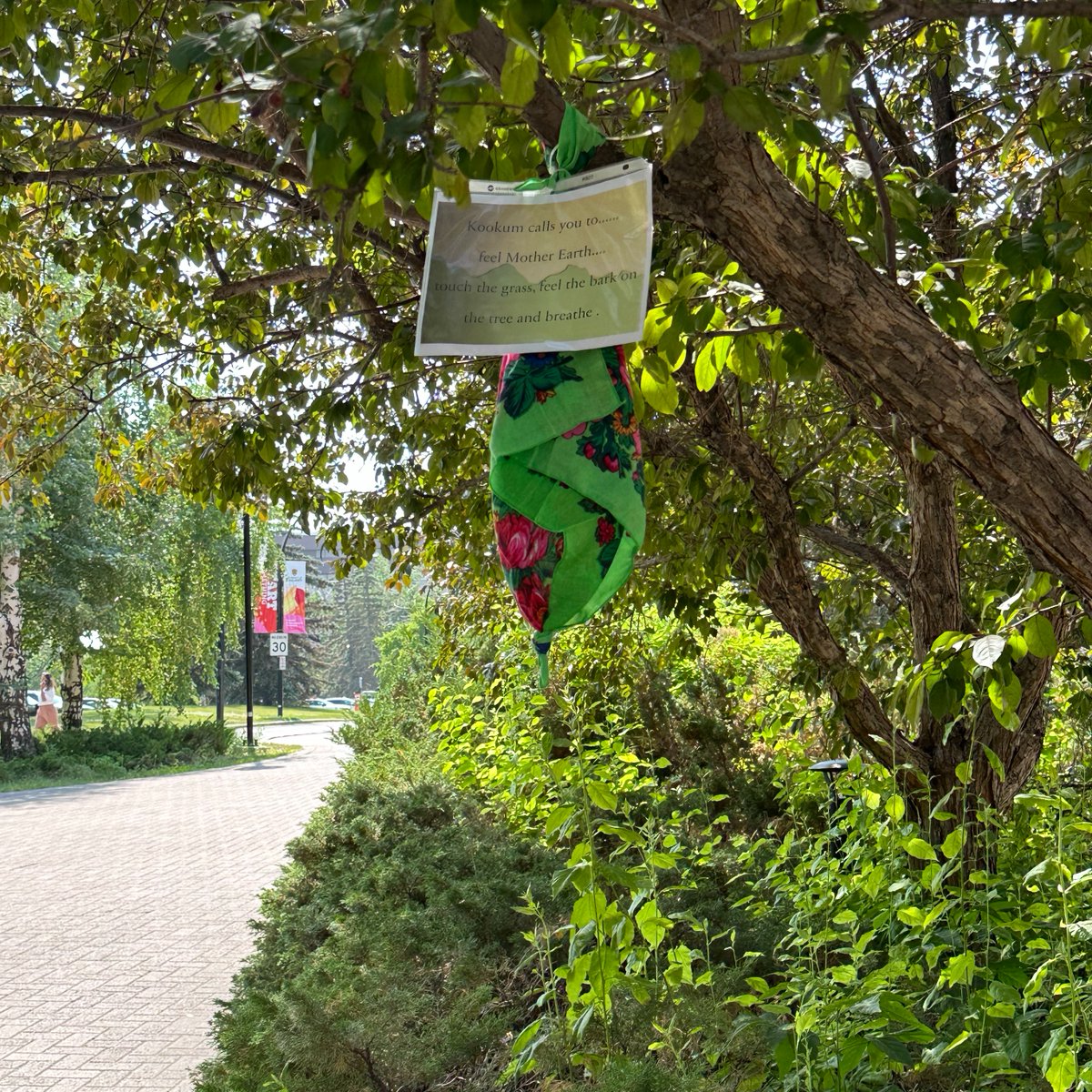 Werklund School tweet media