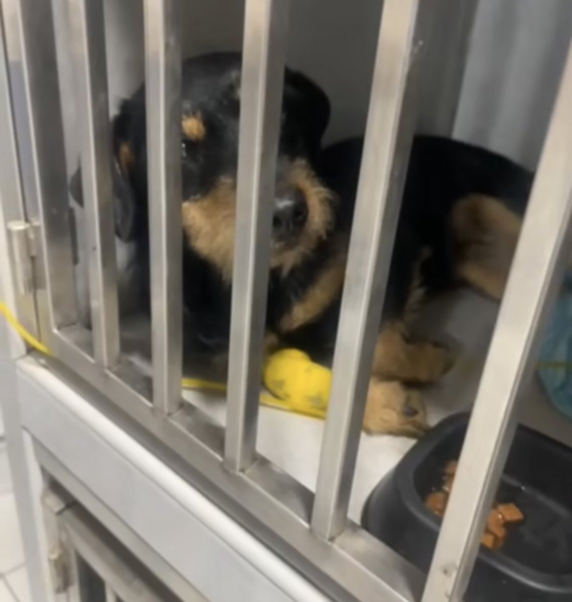 𝐌𑁤 tweet media