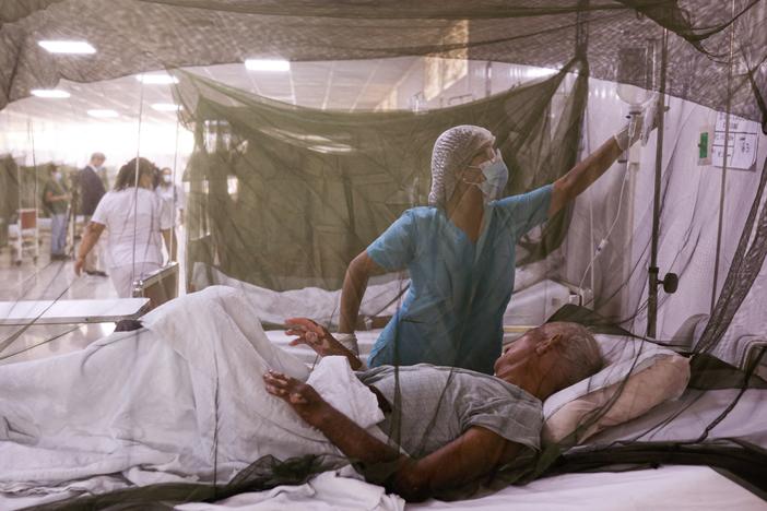 Resurgia's tweet photo. Dengue fever is — unfortunately — having a banner year. Can it be quelled? Now that it is here in Georgia, here are some useful tips on how we can all play our part in reducing the spread. https://t.co/6PiTbriGic https://t.co/N3bGEfj0zw