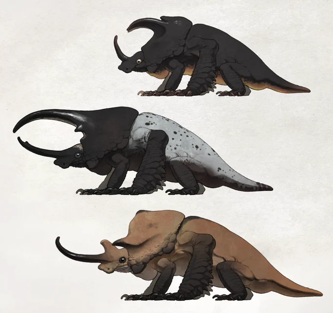 おはドラゴン!! 