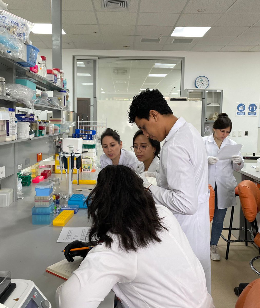 🌱 ¡Capacitación Internacional en Biología Molecular para la Conservación! 🌟 Del 25 al 31 de julio, #INABIO y KOICA, junto con el Instituto Nacional de Recursos Biológicos de Corea, impulsamos la gestión de Recursos Genéticos. 🌿🔍 Fortalecemos al personal de @ESPE_ECU y <a href="/Ikiam/">Ikiam</a>.