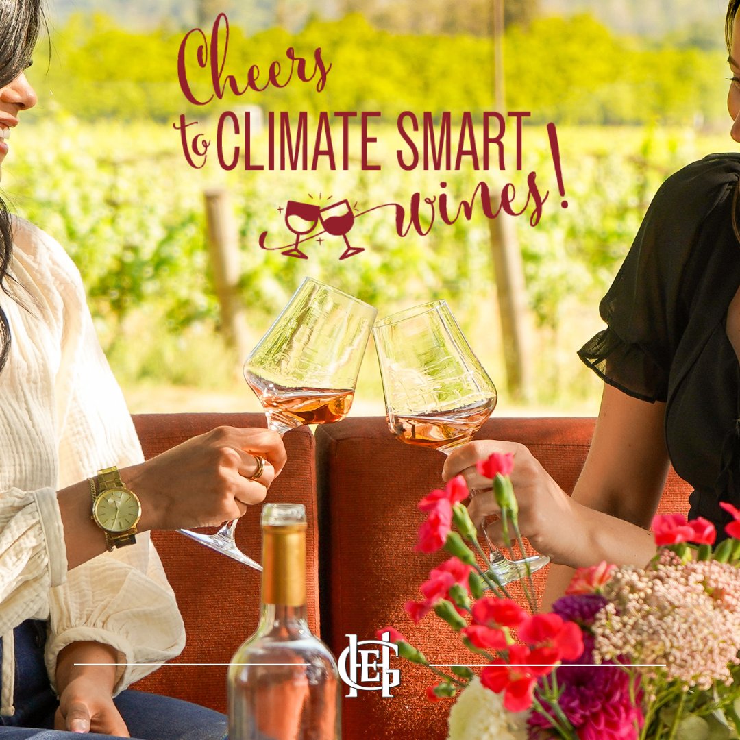 Join us as we celebrate a month of climate smart wines in collaboration with Napa Green! We're offering a limited-time food and wine pairing, featuring bites made with organic ingredients - including our very own organic olive oil. Reserve your spot here: rpb.li/IQyHVE