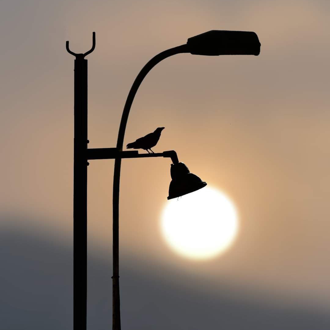 #صورة_ملف_شخصي_جديدة