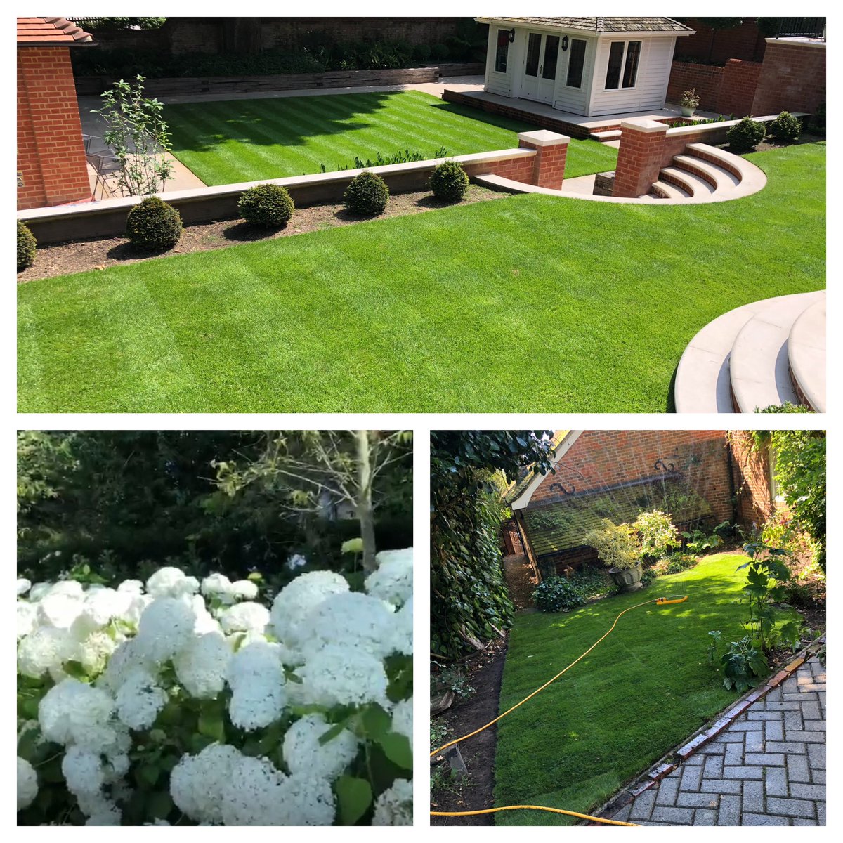 Andy Barber tweet media