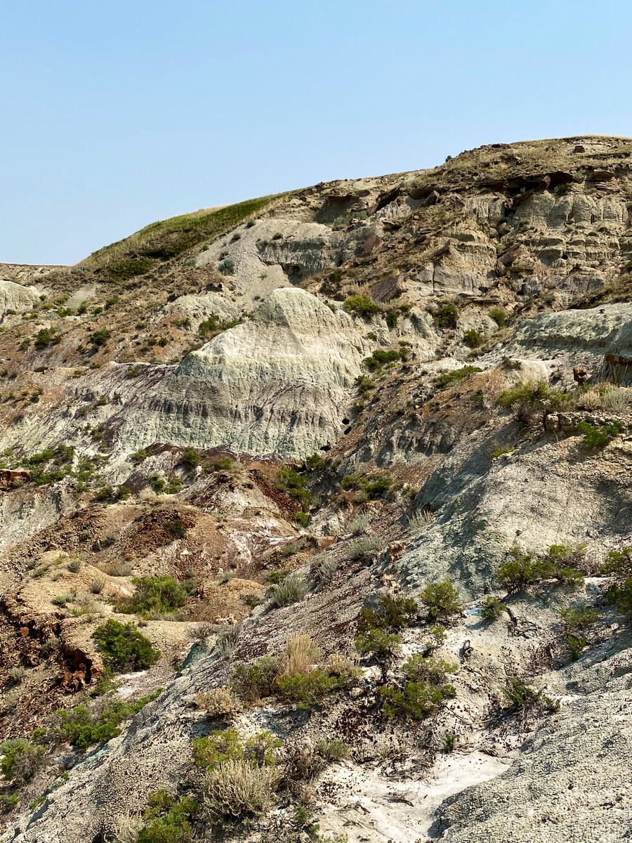 A distant view of our old  Daspletosaurus quarry #SADP2024