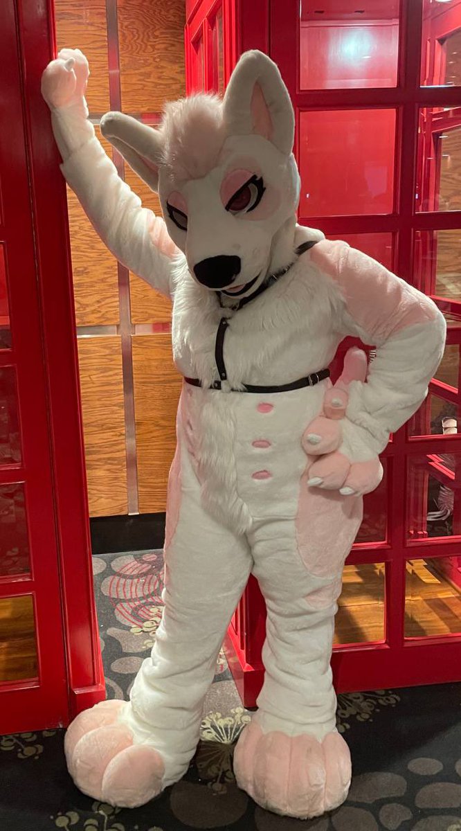 ✨Pyrope Costumes✨ tweet media