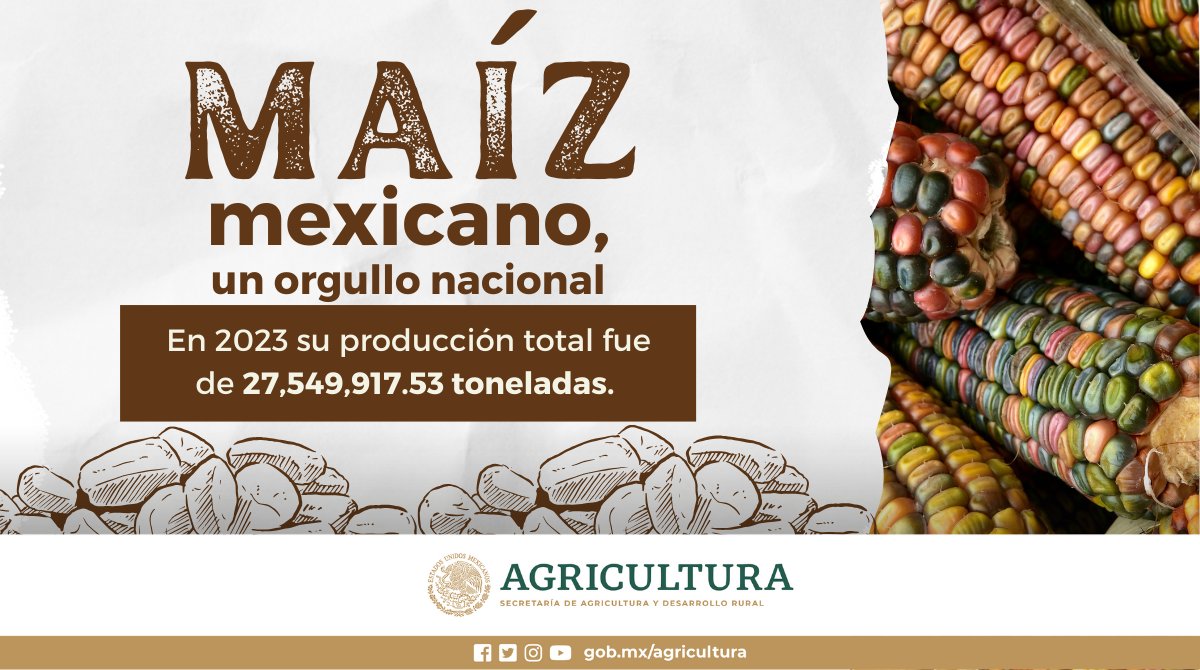 Agricultura_mex's tweet photo. 🌽🥤 ¡Las bebidas con maíz son el alma de nuestra tradición! Desde el refrescante #Batari hasta el delicioso #Tejate, cada sorbo cuenta una historia.
Conoce más sobre estas bebidas mexicanas en nuestro blog: https://t.co/KdVj046FiC
#ElCampoNoSeDetiene https://t.co/JwHhiXcfaN