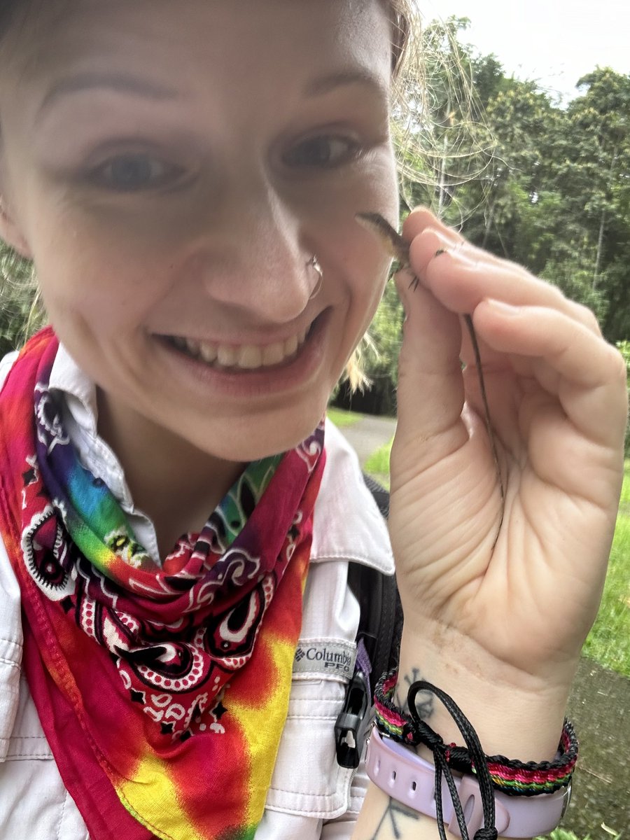 I’m spending my fall researching the evolution of developmental plasticity among Central American anoles. I’m so grateful for the support of <a href="/AmPhilSociety/">Am Phil Society</a> and the <a href="/AUMNH2/">AUMNH</a> for funding this project. Thrilled to be living out this dream in the most beautiful ecosystem on earth!