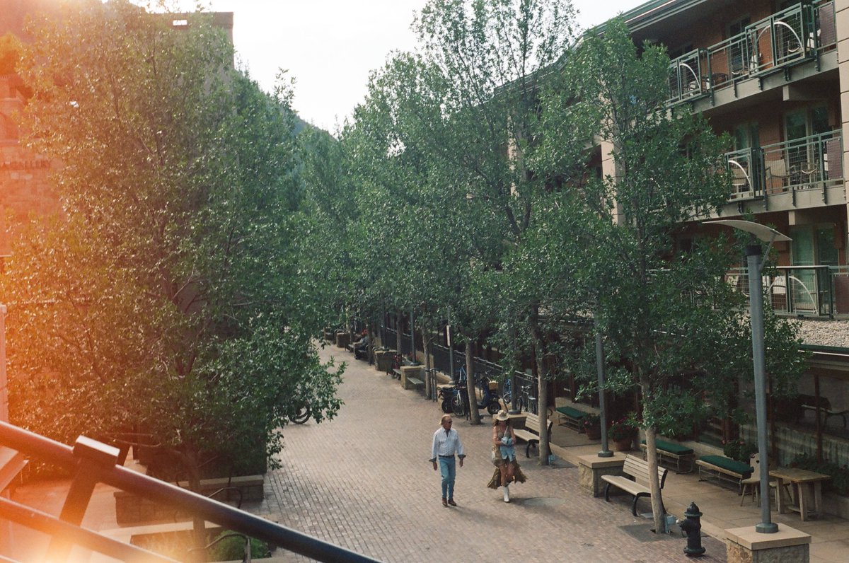 Aspen in Kodak Gold 200