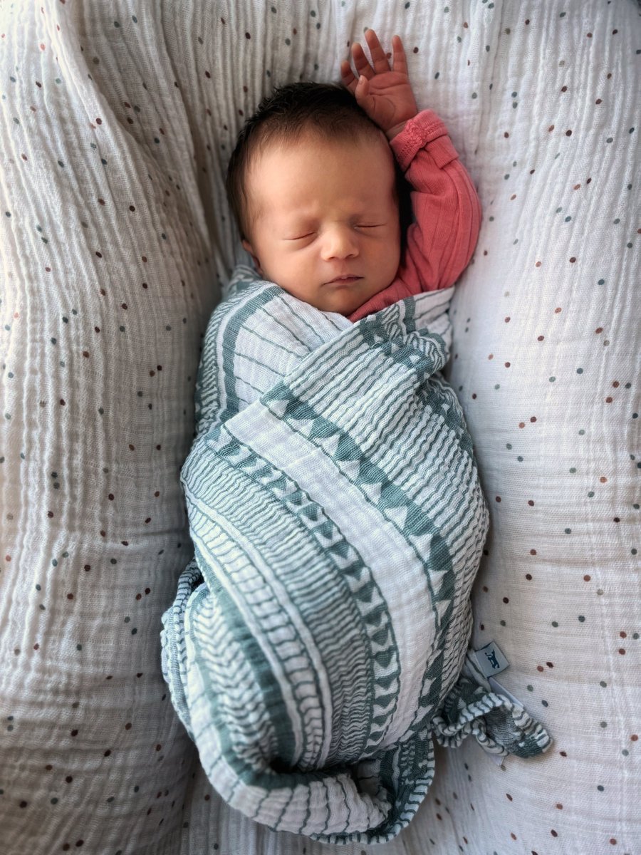 Shane Hawk tweet media