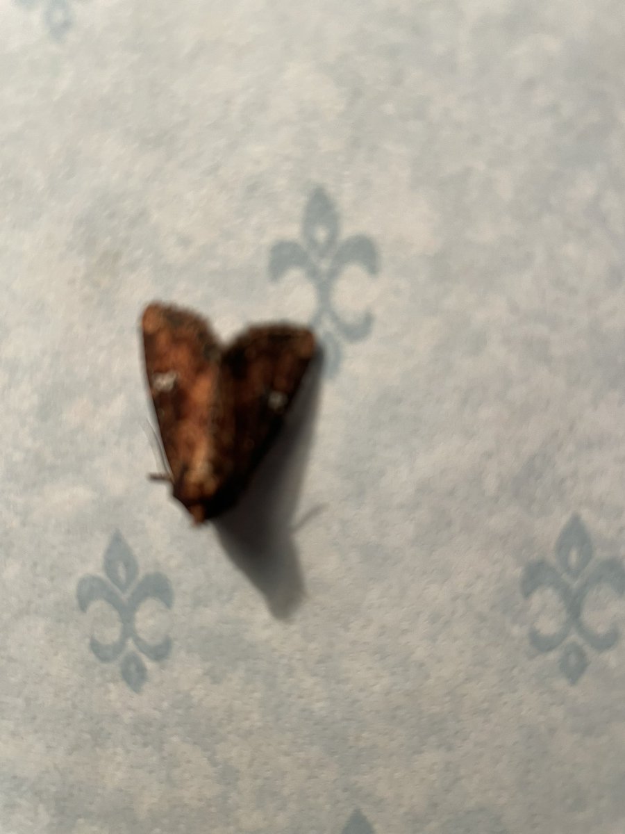 Helen Mark tweet media