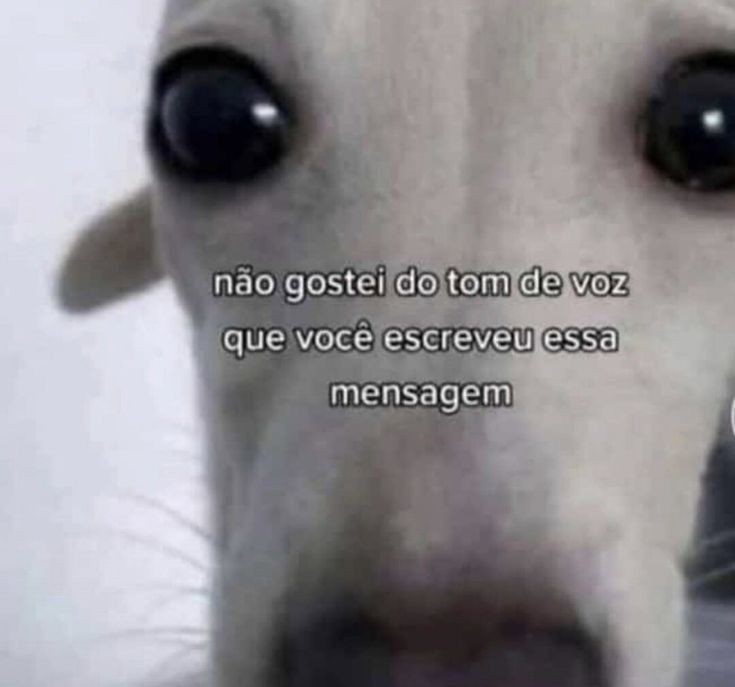 Frases aleatórias em baixa qualidade (@fraseslowqualit) on Twitter photo 