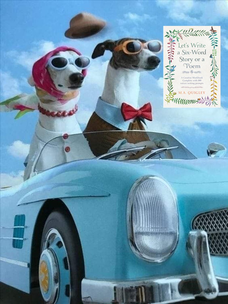 MQuigley1963's tweet photo. Thanks, Catherine.😍
'Hey, Bob, this week/weekend, I want to get creative.
Find a car park near the bookshop, so I can buy a copy of M.A. Quigley's Let's Write a Six-Word Story or a Poem Workbook. Look, there's a parking spot over there.'
https://t.co/T2gip3Qlhg
#CreativeStory #CreativeTales #creativecommunity #creatives #poetry #writing #prompts