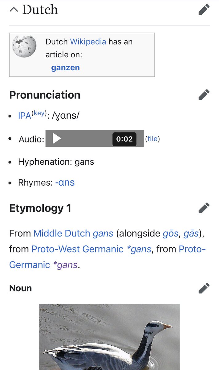 I find it kind of hysterical that modern Belgian Dutch has preserved the proto-Germanic word for “goose” essentially unchanged. Goropius would be so proud.