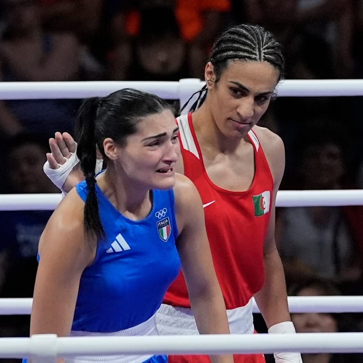 bpthaber's tweet photo. Uluslararası Boks Federasyonu, sahadan çekilmek zorunda kalan Carini'ye Olimpiyat şampiyonuna verilen para ödülünü vereceğini açıkladı. https://t.co/9fxcDg5o6D