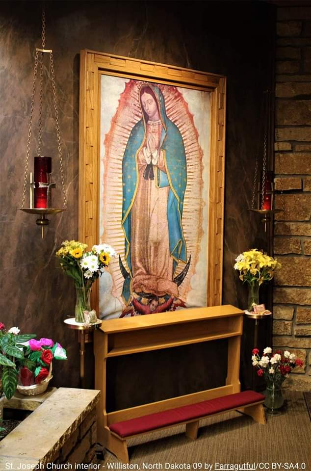 Virgen de Guadalupe, ruega por nosotros 

🙏❤️
