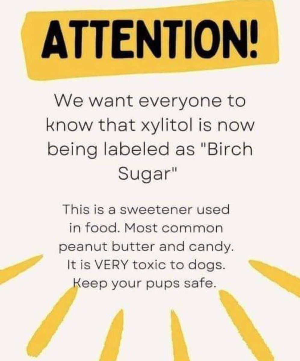 The term birch sugar is starting to pop up more and more, and pet owners need to be aware that this “sugar” is extremely dangerous to certain pets. Xylitol is highly poisonous when it comes to our pups, while also being hazardous to other pets, including ferrets and cats.