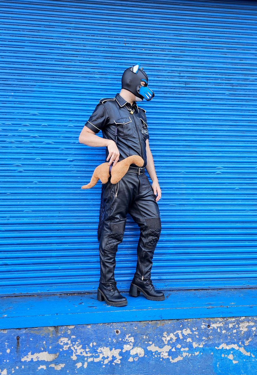 APup_Apex's tweet photo. It's fashion you wouldn't understand 😤 https://t.co/mQTaI6vyiD