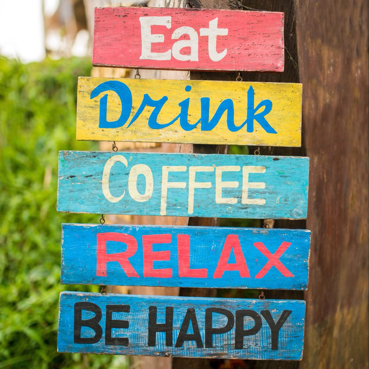 Key West Aloe tweet media