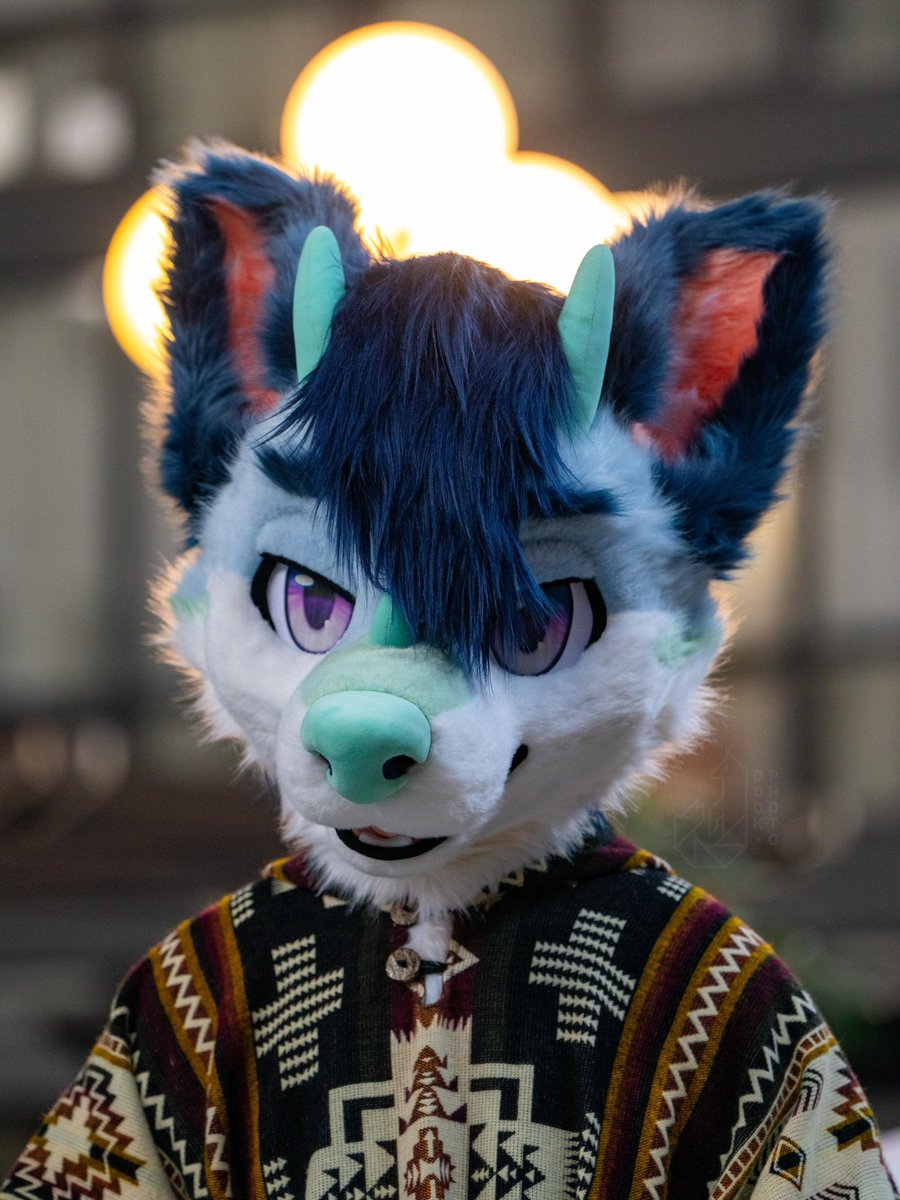 磷灰灰灰Grey tweet media