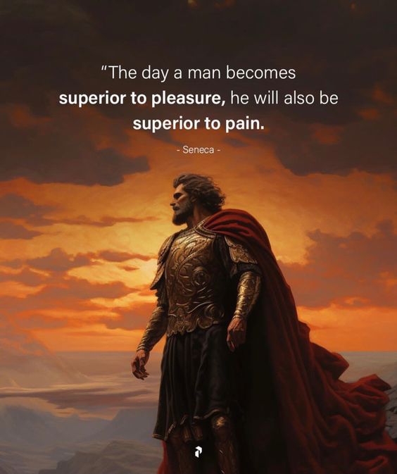 Stoic Mastery tweet media