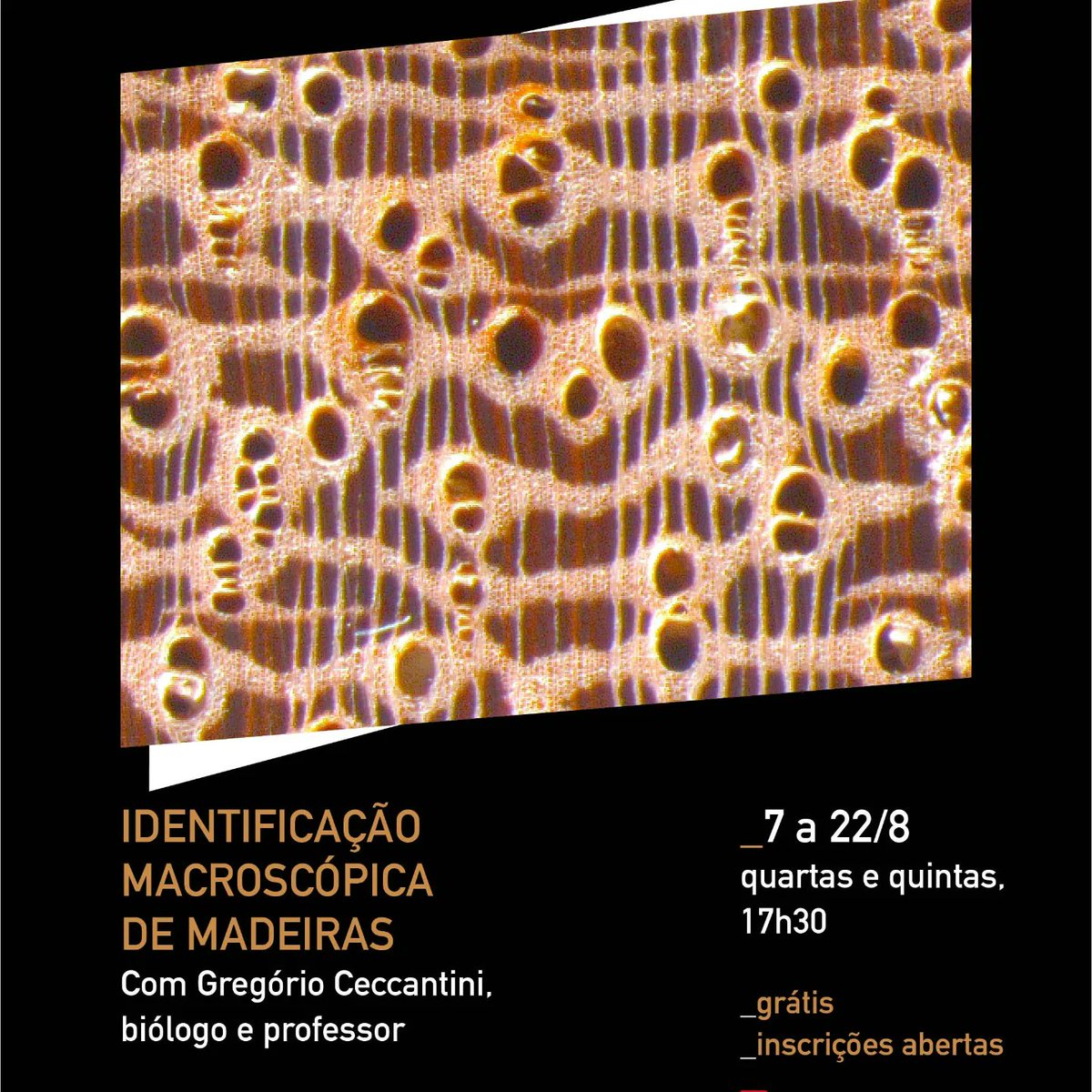 Sesc Carmo tweet media