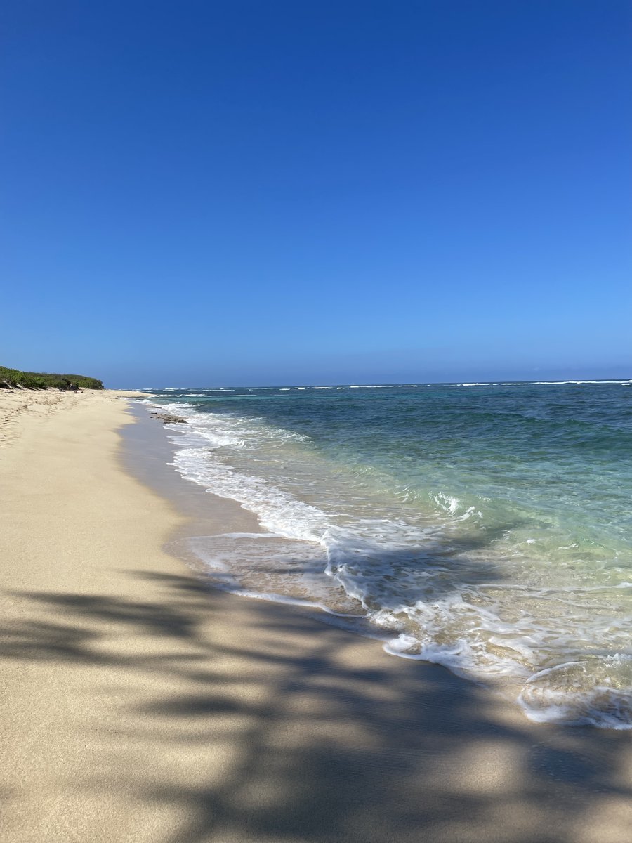 WaikikiHealth's tweet photo. Waikiki Health will be closed today, in observance of Statehood Day #Statehoodday https://t.co/rxf7Obin4X