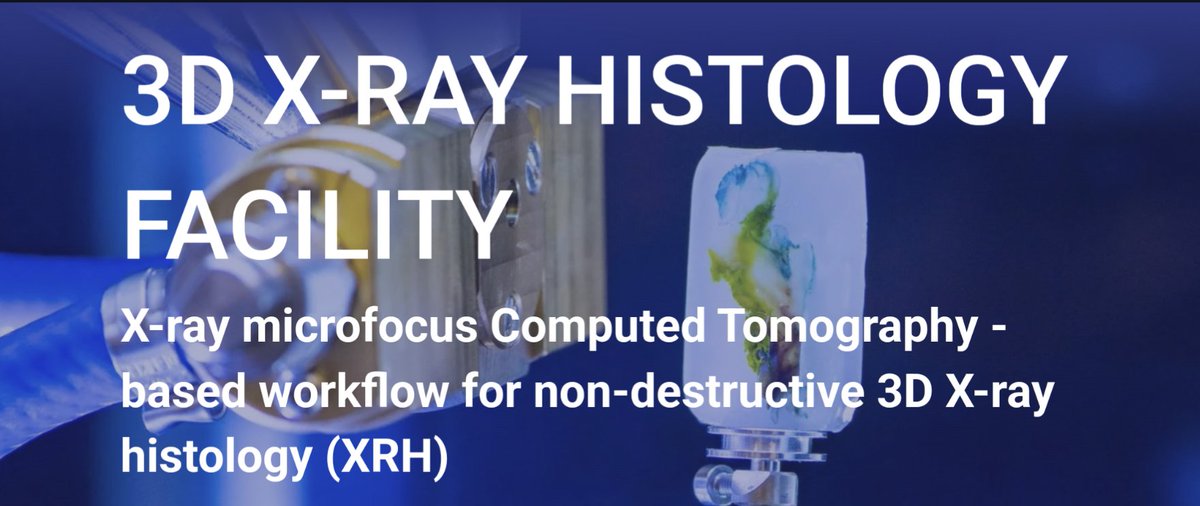📣Our lab's (muvis and XRH) websites have received a major facelift! 🌟

If you haven't already done that, do pay them a visit.

👉 muvis.org
👉 xrayhistology.org

Stay tuned for more updates!