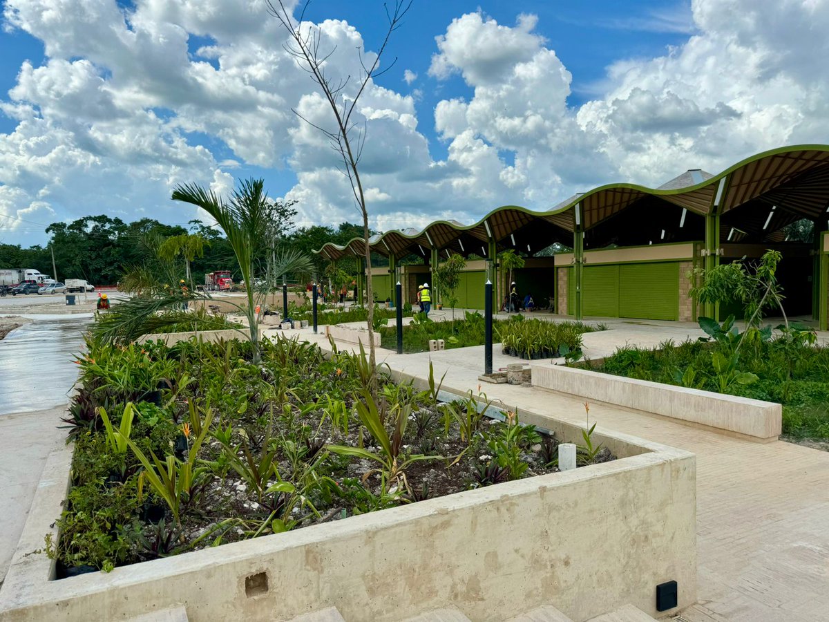 MeyerFalcon's tweet photo. Estamos trabajando en el sureste. El nuevo mercado público que @SEDATU_mx acaba de terminar en Nicolás Bravo, localidad de Quintana Roo, beneficiará con locales a más de 50 familias.

Será un lugar para visitar ahora que el @TrenMayaMX llegue a Chetumal. #LosCimientosDeLaTransformacion 👷‍♂️👷‍♀️