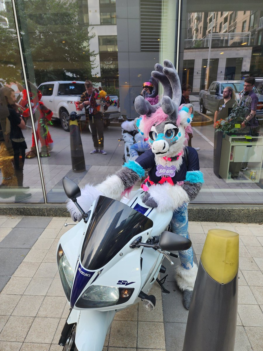 Mememastet642's tweet photo. #canfurence #canfur #canfur2024 to those who would like to do photos with my motorcycle I will be doing a photo outside the lobby if you would like to take some photos! https://t.co/YjKopiSv64