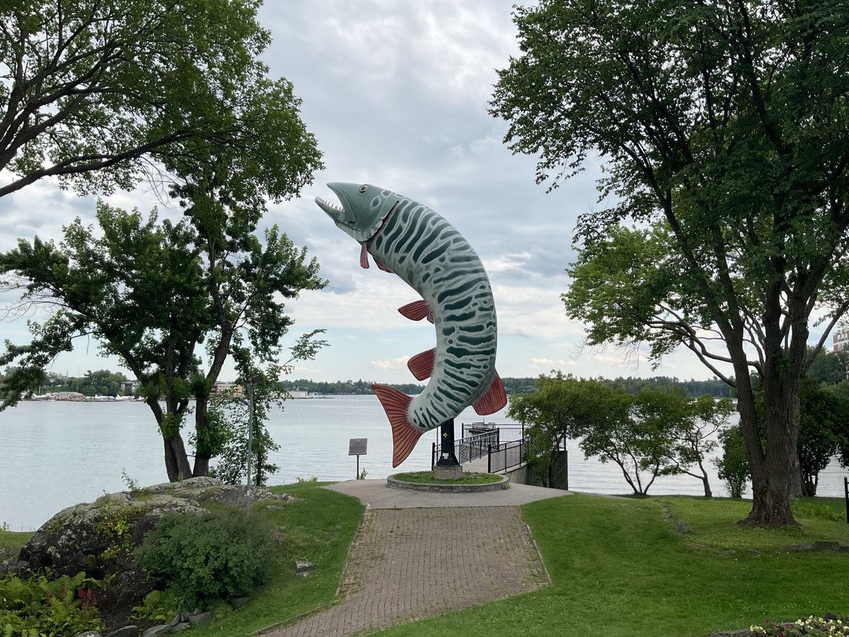 Writer_Alice's tweet image. Meet Husky the Muskie, a 40-foot-tall muskellunge fish residing in Kenora, Ontario.
