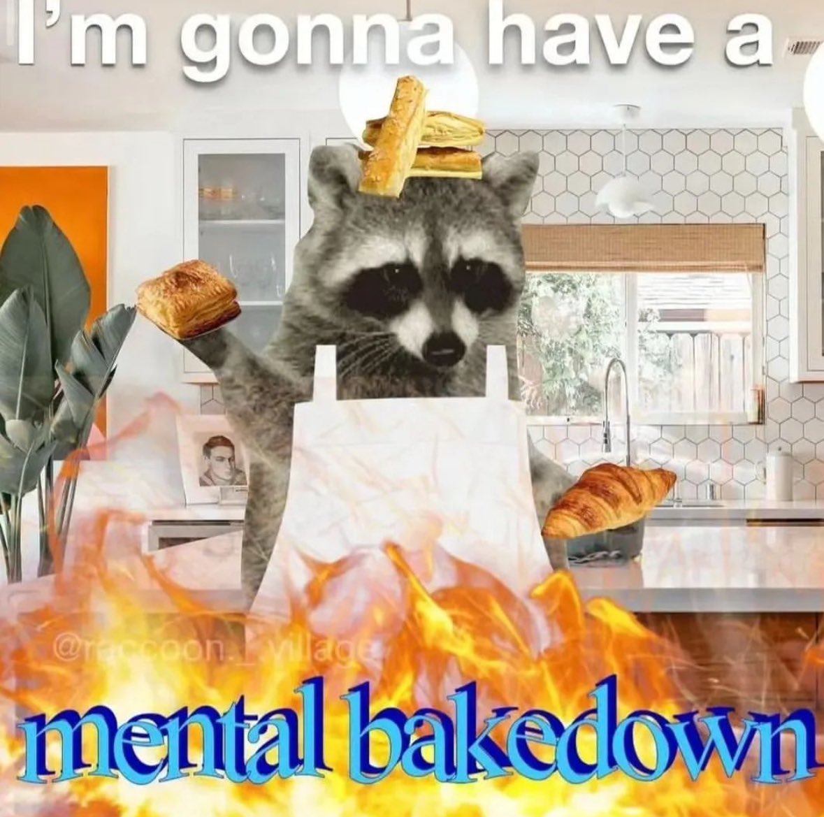 raccoon aesthetic. (@raccoonesthetic) on Twitter photo 