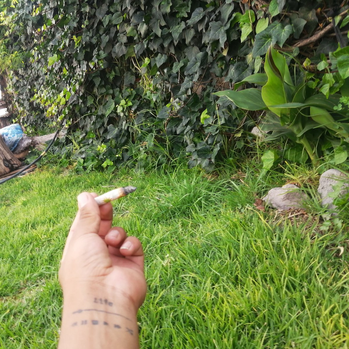 bunner5259's tweet image. #NuevaFotoDePerfil