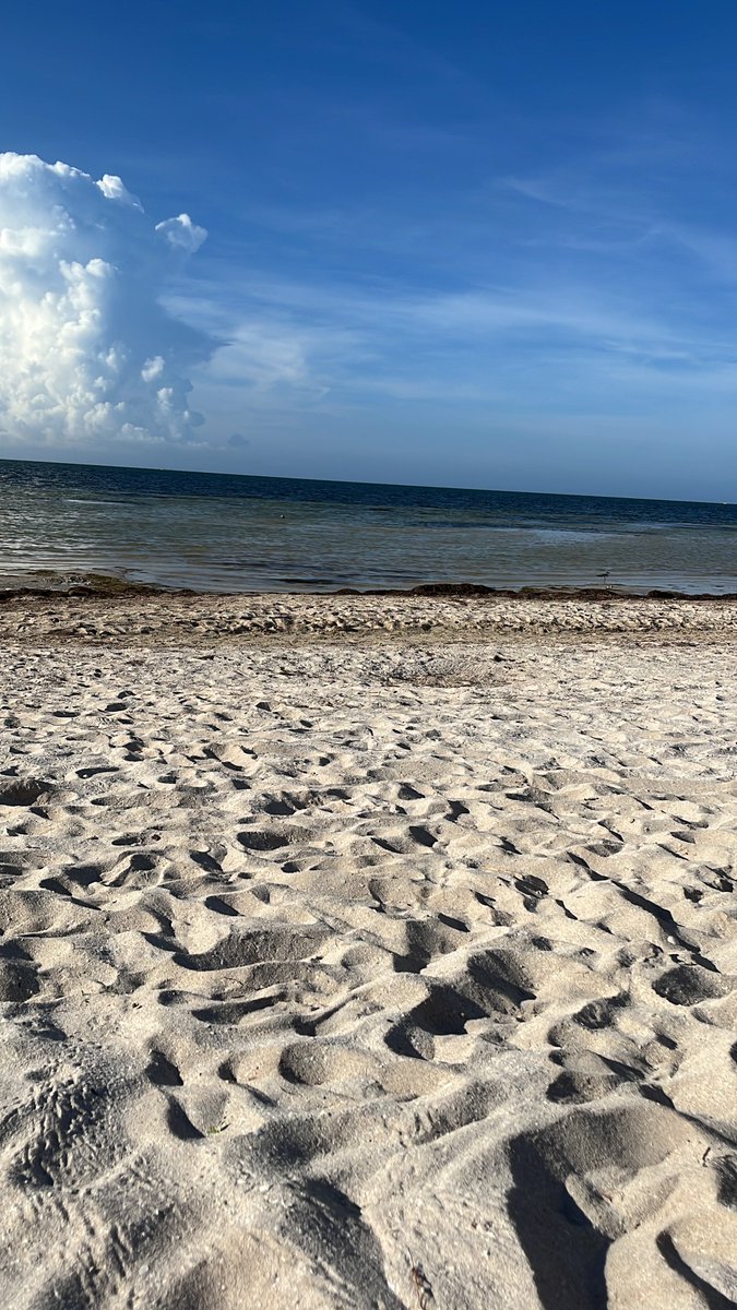 sheptowers's tweet photo. well deserved break! SanCrisanto Yucatan, Mex https://t.co/H61pPV1gRS