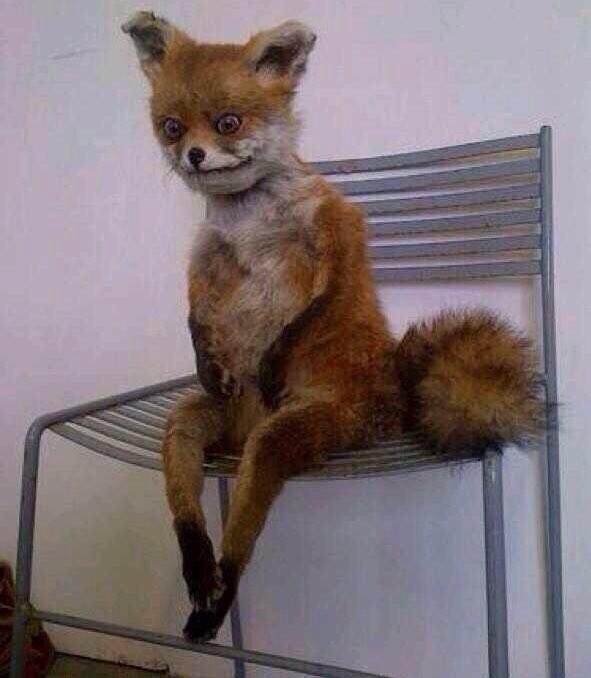 Ya no sé si es viernes, sábado o domingo