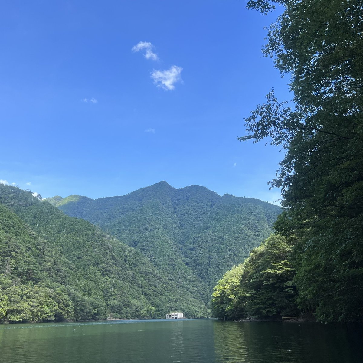 11seasky11's tweet image. 先週の池原、七色🚤

久しぶりのロクマルは嬉しかった😁

#池原ダム　#七色ダム　#y企画　#バッシングロード　#バス釣り