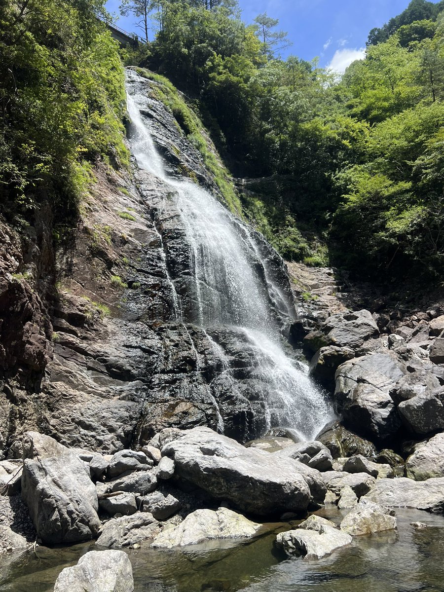 11seasky11's tweet image. 先週の池原、七色🚤

久しぶりのロクマルは嬉しかった😁

#池原ダム　#七色ダム　#y企画　#バッシングロード　#バス釣り