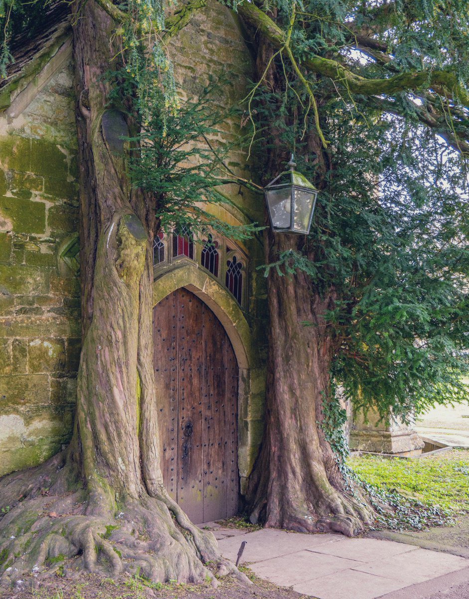 St Edward’s Church, Stow-on-the-Wold, with its Yew Tree guardians 🌲🌲

Tolkien was a regular visitor in the area, and the doors bear an uncanny resemblance to similar in Lord of the Rings, the Doors of Durin.