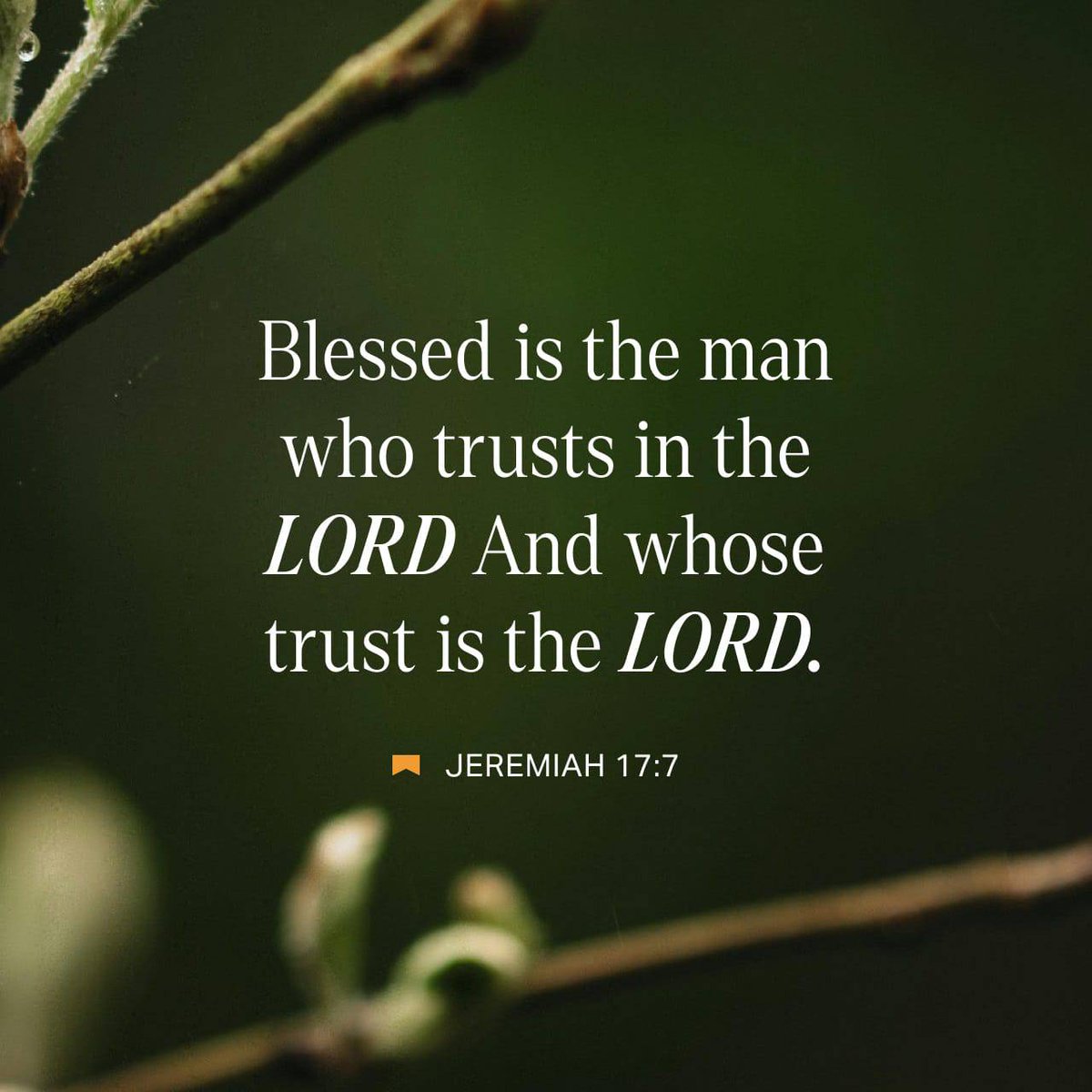 bible.com/verse-of-the-d…