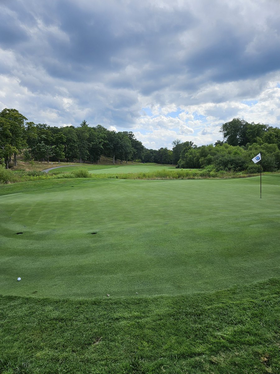 BushmillsBogeys's tweet photo. #Blessed https://t.co/mxiQNSCsRV