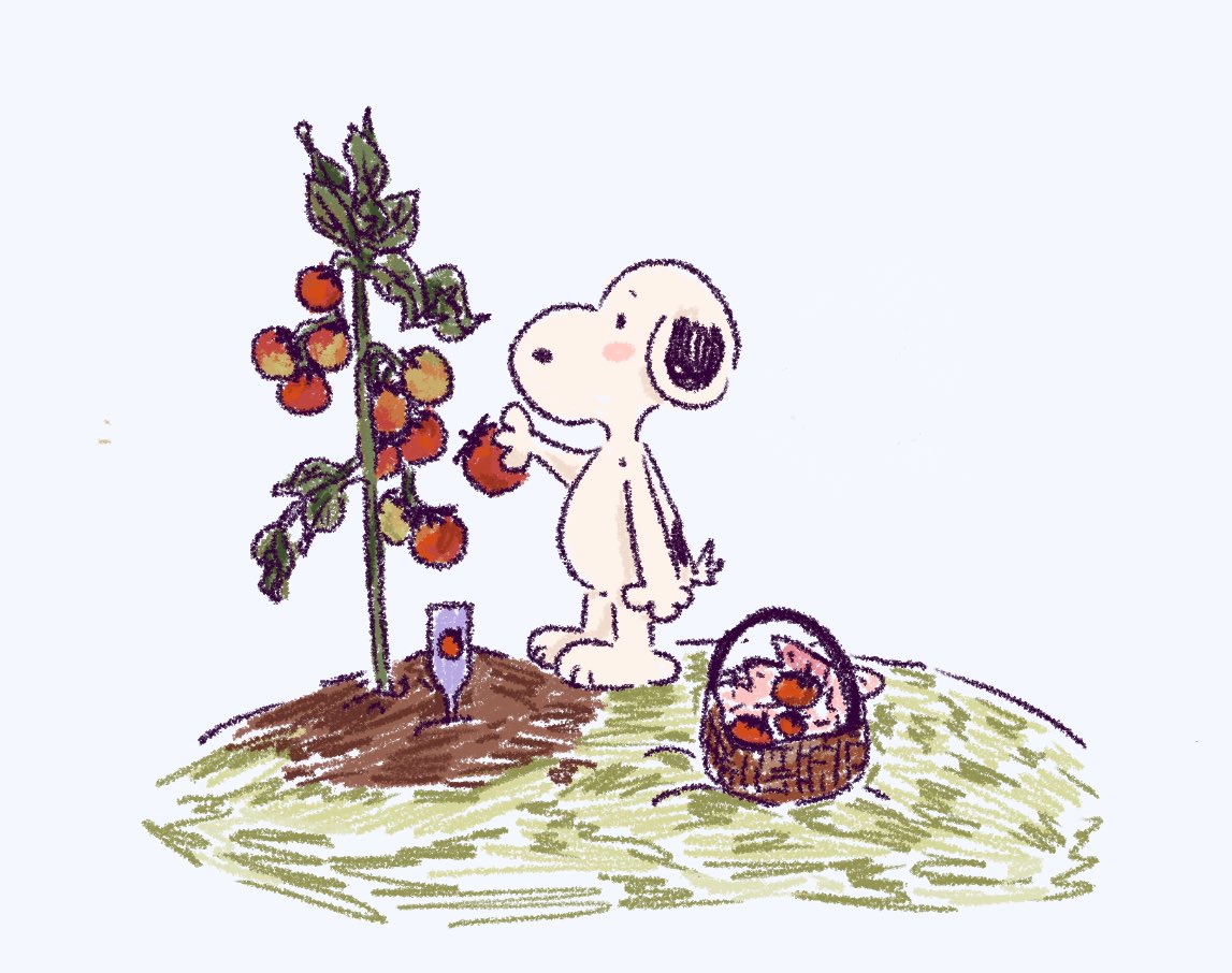 🍅🧺